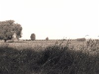 Blick aufs alte Viadukt  Seagull 4A103 HAIOU 3.5/75, Bergger Pancro 400