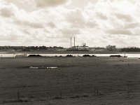 Rheinwiesen, Lastkahn und Industrie  Pentax 645N, 2.8/75, Gelbfilter, Bergger Pancro 400@200