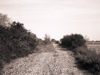 Steiniger Weg  Fuji GW 690 III, Bergger Pancro 400