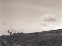Deich  Pentax 67II, SMC 2.4/105, Bergger Pancro 400@320