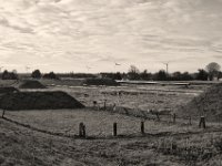 Zerstörung der Weiden  Pentax K-1, smc Pentax FA 1.9/43 Limited  - 06.01.2020 - : Landschaft, Baustelle, Weide, Umweltzerstörung