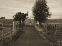 Fahne, Kreuz und Deichlandschaft  Pentax K-1, smc PENTAX-FA 77mm F1.8 Limited  - 12.08.2018 - : Baum, Fahne, Gatter, Kreuz, Rheindeich, Weg, Weide