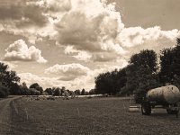 Landschaft mit Schafen  Pentax K-1, HD Pentax D-FA 2.8/24-70 ED SDM WR  - 11.07.2020 - : Landschaft, Wasserwagen, apx, Wolken, Schafe, Bäume