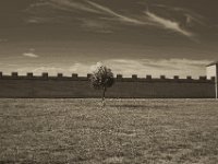 Allein gegen Rom  Pentax K-1, smc PENTAX-FA 43mm F1.9 Limited  -27.07.2019 - : Landschaft, Niederrhein, Römercastell, Xanten