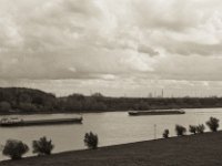 Grauer Himmel, graues Wasser  Yashica FR I, Zeiss Planar 1.4/50, ADOX CHS 100II  - 28.10.2023 -