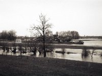 Flussbagger am Rhein  Fuji GW 690 III, Bergger Pancro 400 : Rheinwiesen, Hochwasser, homepage