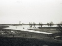 Rheinwiesen bei Hochwasser  Fuji GW 690 III, Bergger Pancro 400 : Rheinwiesen, Hochwasser, homepage