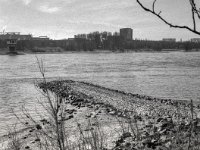 Rhein  Fuji GSW 645 S prof. WIDE 60, KODAK 400 TX  - 08.03.2025 -