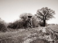 Ansitz zum Töten  Fuji GW 690 III, Fuji Acros 100II  - 09.03.2022 -