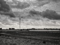 Hinterm Rheindeich  Fuji GW 690 III, ADOX CHS 100II   - 16.06.2024 -