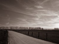 Frühe, leere Landschaft  Pentax 6x7, SMC Takumar 4.5/75, Fuji Acros 100II - 18.03.2021 -