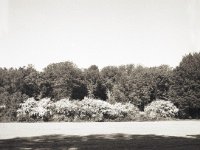 Feld am Waldrand  Fuji GS645S professional,  Rollei RPX 100 : Landschaft, Wald, Licht und Schatten, Feld, Landwirtschaft