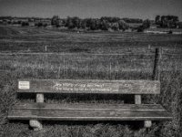 Kluge Fragen schwinden.  Pentax 67II, SMC Takumar 4.5/75, ADOX CHS 100II  - 27.08.2024 -