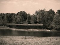 Lippe Mündung Naturschutz  Pentax 645N, SMC FA 2.8/75, ADOX CHS100 II   - 06.09.2024 -