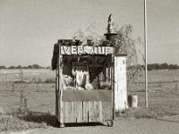 Äpfel, Birnen und Nüsse  Pentax 67II, SMC 2.4/105, Gelbfilter, KODAK TRI-X400@250   - 21.09.2024 -