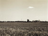 Wolke über Feld und Dorf  Pentax 67II, SMC 2.4/105, Fuji Acros 100II - 18.05.2020 -