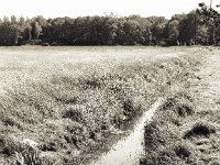 Grabenlandschaft  Pentax 67II, SMC 2.4/105, Fuji Acros 100II