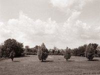 Blick zum Dom  Pentax 67II, SMC 2.4/105, Bergger Pancro 400@200  - 03.06.2022 -