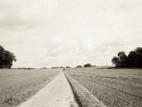 Feldweg  Fuji GW 690 III, Bergger Pancro400  - 10.10.2020 - : Feldweg, Felder, Wolken, Himmel