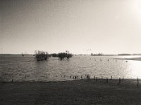 Rheinhochwasser  Pentax 645N, SMC FA 2.8/45, Gelbfilter, Bergger Pancro 400@250