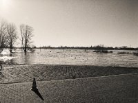 Fähranlegestelle bei Hochwasser  Pentax 645N, SMC FA 2.8/45, Gelbfilter, Bergger Pancro 400@250