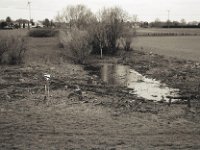 Landschaftsschutzgebiet Heuchelei  Fuji GW 690 III, Bergger Pancro 400  - 29.02.2020 - : Landschaft, Abholzung, Natur, Naturschutzschild, homepage