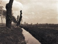 Grabenlandschaft  Pentax 67II, SMC Takumar 4.5/75, Bergger Pancro 400@200