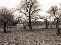 Unterstand  Pentax MZ-S, SMC FA  1.9/43 Limited, Gelbfilter, Ilford HP5plus@800 - 17.11.2016 -