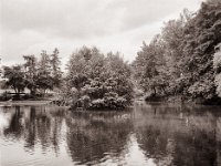 Kleiner "See" im Stadtpark Rheinberg  Fuji GS645S professional WIDE60, Bergger Pancro400@200 - 22.06.2021 -