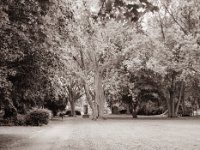 Fußgänger im Stadtpark Rheinberg  Fuji GS645S professional WIDE60, Bergger Pancro400@200  - 22.06.2021 -