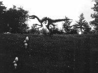 Dino mit Pilzen  Pentax 6x7, 2.4/105, APX 400 - Mitte 1990er Jahre -