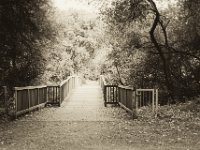 Brücke über die Kleine Emscher  Pentax Super A, SMC 1.4/50, Ilford Delta 100 pro @64