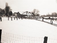 Schafe im Schnee  Pentax LX, SMC 2.8/24; 400TX/400