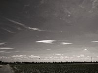 Untertassen  Pentax K-1, smc PENTAX-FA 31mm F1.8 AL Limited  -30.07.2018 - : Felder, Himmel, Landschaft, Weg, Wolken