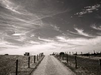 Federwolken im Flug  Pentax K-1, smc PENTAX-FA 31mm F1.8 AL Limited  -30.07.2018 - : Bank, Himmel, Landschaft, Rheindeich, Weg, Weide, Wolken