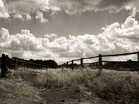 Gatter  Pentax K-1, smc PENTAX-FA 31mm F1.8 AL Limited  - 10.08.2018 - : Bäume, Gatter, Landschaft, Tor, Weg, Weide, Wolken