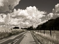 Flickenstraße  Pentax K-1, smc PENTAX-FA 31mm F1.8 AL Limited  - 10.08.2018 - : Bäume, Landschaft, Maisfeld, Straße, Weide, Wolken