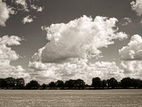 Baumreihe am Feldrand und große Wolken  Pentax K-1, smc PENTAX-FA 31mm F1.8 AL Limited  - 10.08.2018 - : Bäume, Felder, Landschaft, Wolken