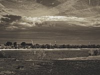 Wolkenbank  Pentax K-1, smc PENTAX-FA 77mm F1.8 Limited  - 12.08.2018 - : Himmel, Landschaft, Landwirtschaft, Rhein, Rheinwiesen, Weide, Wolken