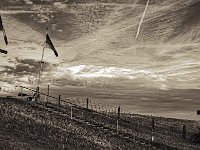 Kreuz und Fahne in Ork  Pentax K-1, smc PENTAX-FA 77mm F1.8 Limited  - 12.08.2018 - : Baum, Fahne, Fahrrad, Gatter, Kreuz, Rheindeich, Weg, Weide