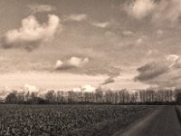 Wolken über dem Feld  Pentax 645N, SMC-A  2.8/45, Bergger Pancro 400@320