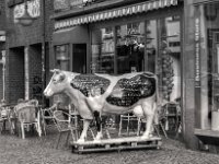 Ansicht 1  PENTAX K-3 Mark III Monochrome, SMC PENTAX-FA 1.8/77 Limited - 03.09.2024 -