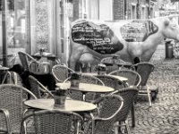 Ansicht 2 mit Hund  PENTAX K-3 Mark III Monochrome, SMC PENTAX-FA 1.8/77 Limited - 03.09.2024 -