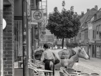 Am Morgen  PENTAX K-3 Mark III Monochrome, SMC PENTAX-FA 1.8/77 Limited - 05.09.2024 -