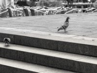 Am Marktplatz  PENTAX K-3 Mark III Monochrome, SMC PENTAX-FA 1.8/77 Limited - 05.09.2024 -