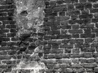 Lebenswille  PENTAX K-3 Mark III Monochrome, SMC PENTAX-FA 1.8/77 Limited - 05.09.2024 -