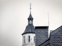 Spitzenhahn  PENTAX K-3 Mark III Monochrome, SMC PENTAX-FA 1.8/77 Limited - 05.09.2024 -