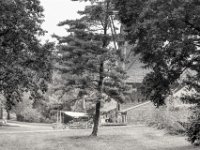 Kiefer  PENTAX K-3 Mark III Monochrome, SMC PENTAX-FA 1.8/77 Limited - 05.09.2024 -