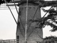 Mühle  PENTAX K-3 Mark III Monochrome, SMC PENTAX-FA 1.8/77 Limited - 05.09.2024 -