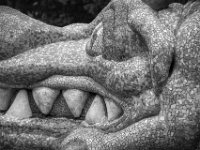 Mosaikhaut  PENTAX K-3 Mark III Monochrome, SMC PENTAX-FA 1.8/77 Limited - 05.09.2024 -